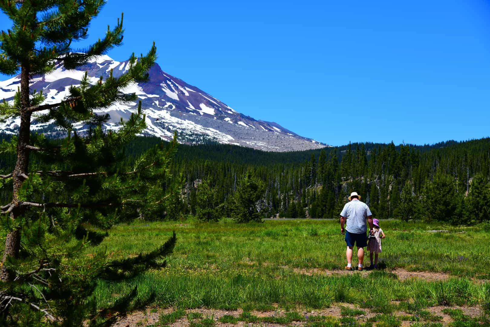 A father and daughter walk through a meadow in the shadow of Charity, the South Sister, near Bend, Oregon.